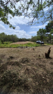 Image 1 - 1018001