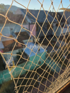 Image 26 - 1018367