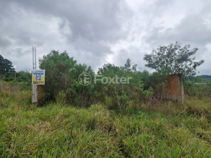 Image 4 - 1018472