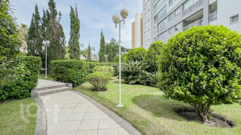 Image 36 - 1018862