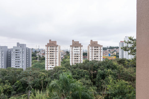 Image 3 - 1019129