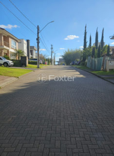 Image 5 - 1019156