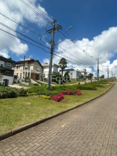 Image 13 - 1019156