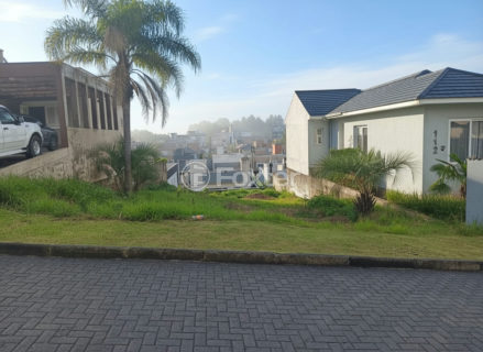 Image 3 - 1019156