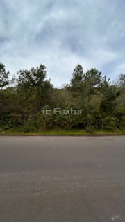 Image 4 - 1019216