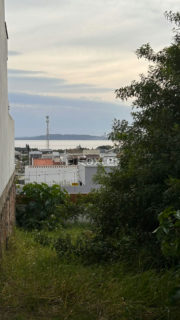 Image 0 - 1019216