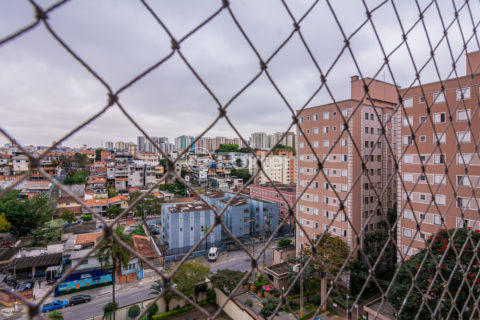 Image 12 - 1019321