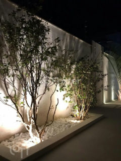 Image 10 - 1019337