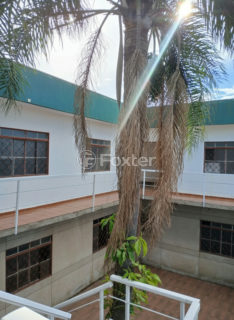 Image 16 - 1019356