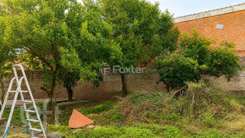 Image 22 - 1019359