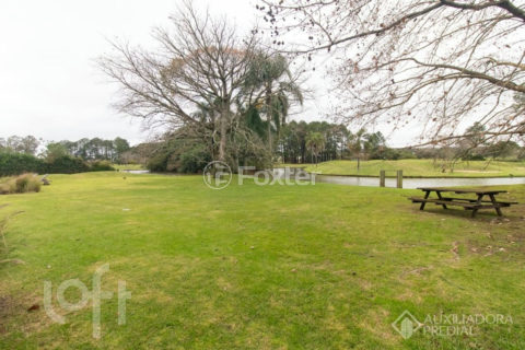Image 31 - 1019416