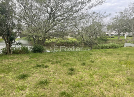 Image 29 - 1019495