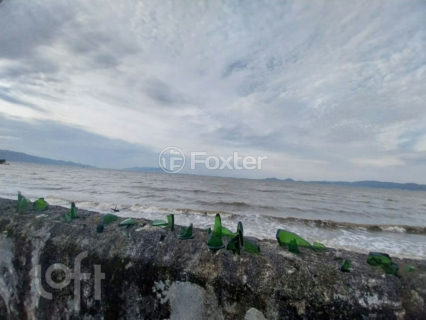 Image 13 - 1019573