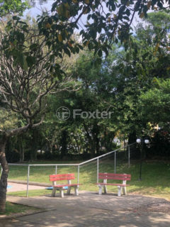 Image 6 - 1019686
