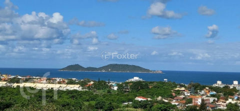 Image 8 - 1019722