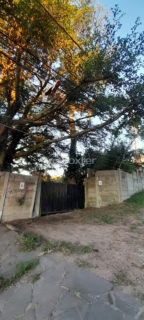 Image 1 - 1019848