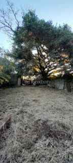 Image 7 - 1019848