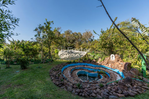Image 45 - 1020199