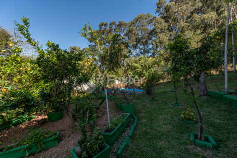 Image 48 - 1020199