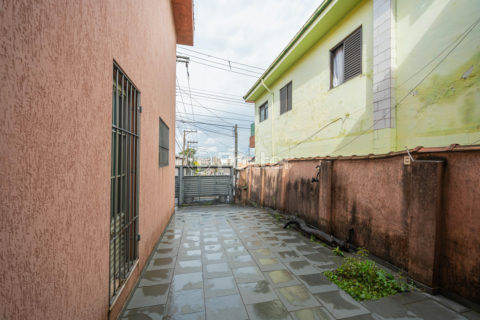 Image 36 - 1020207