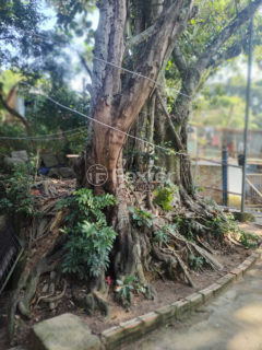 Image 10 - 1020210