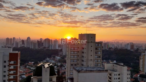 Image 8 - 1020752