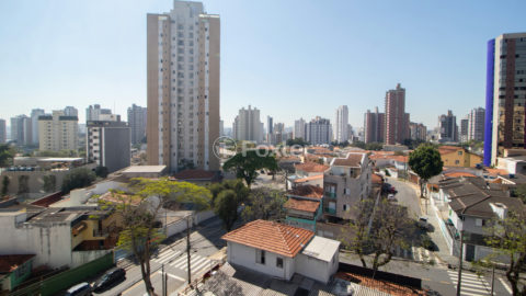 Image 11 - 1020875