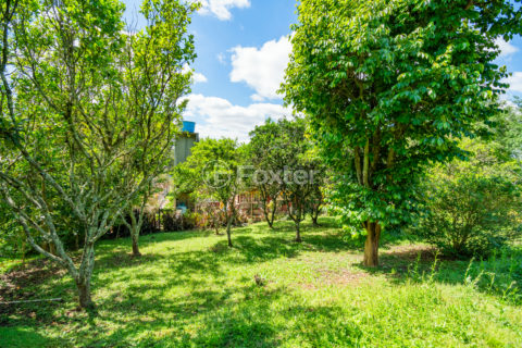 Image 37 - 1020932