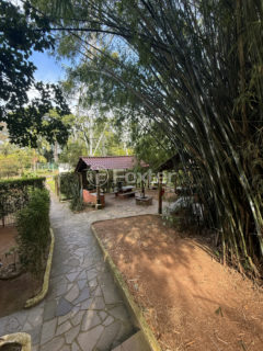 Image 34 - 1020937