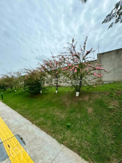 Image 17 - 1021254
