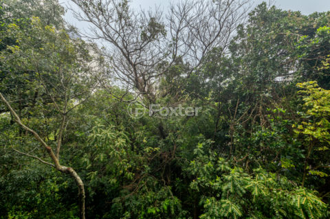 Image 7 - 1021689