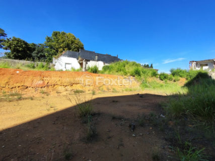 Image 8 - 1021913