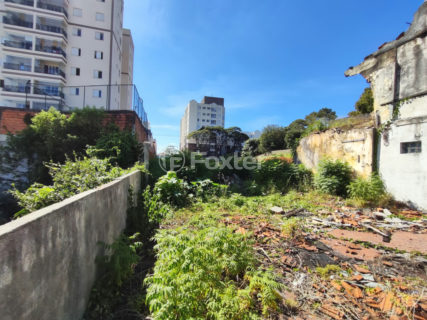 Image 21 - 1021913