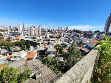 Image 19 - 1021913