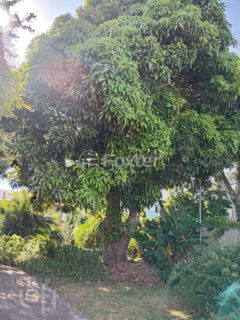 Image 7 - 1021924