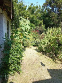 Image 10 - 1021924
