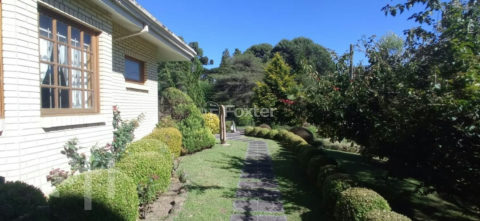 Image 35 - 1022363
