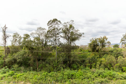 Image 2 - 1022988