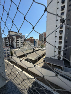 Image 25 - 1023203