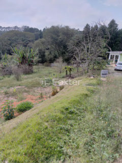 Image 21 - 1023382