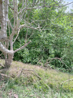 Image 26 - 1023382
