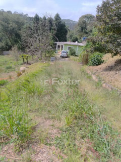 Image 25 - 1023382