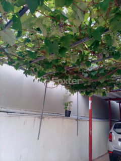 Image 9 - 1023404