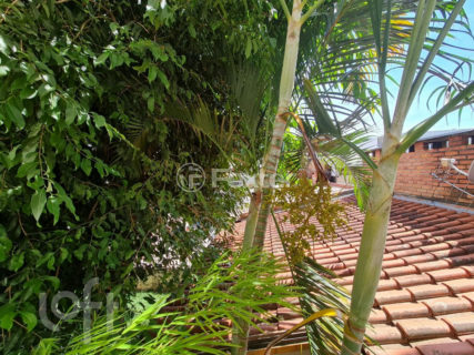 Image 6 - 1023487