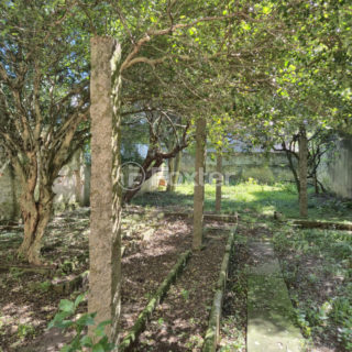 Image 6 - 1023545