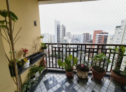 Image 7 - 1023561
