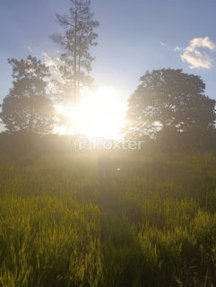 Image 2 - 1023781