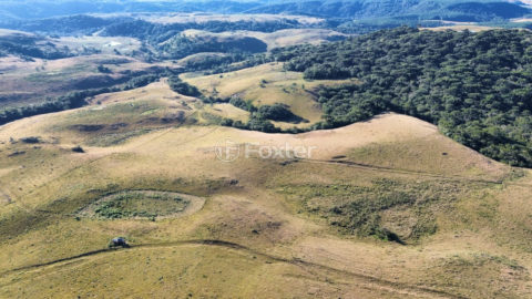 Image 8 - 1023894