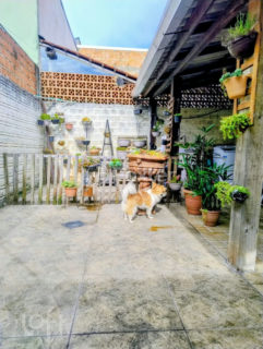 Image 17 - 1024217