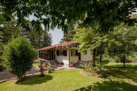 Image 37 - 1024249